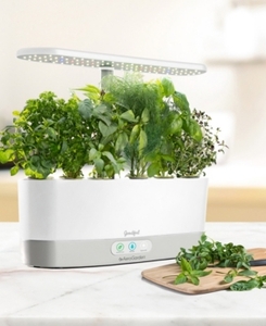 lot 6198 image: AeroGarden Harvest Slim Countertop Garden & Gourmet Herbs Seed Kit