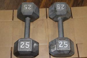 lot 2816 image: Pair of 25 Pound Unmarked Dumbbells