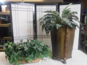 lot 12494 image: Planters and plants you can not kill