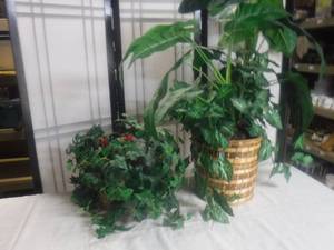 lot 12496 image: More forever plants and baskets