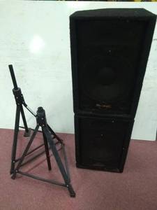 lot 1003 image: Pair of Phonic 12  2-Way Monitor Speakers