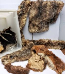 lot 53 image: Lot of Different Kinds of Furs