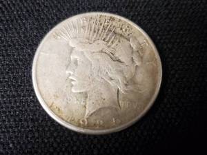 lot 300 image: 1925 Liberty Silver Dollar- Ungraded