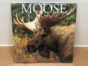 lot 1167 image: MOOSE 2020 CALENDAR