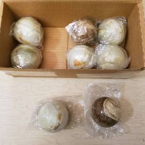 lot 17 image: 8 Count 2 12 inch Onyx Spears