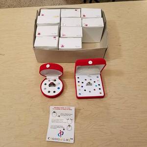 lot 96 image: 12 Colors of Life ring - assorted sizes - marked sterling silver