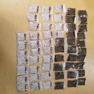 lot 2124 image: approximately 50 bags of jewelry beads