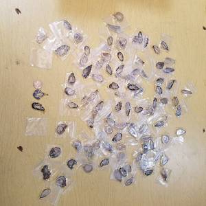 lot 2131 image: approximately 100 polished Stone pendants