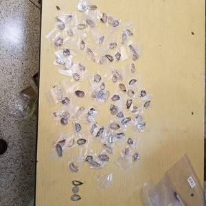 lot 2151 image: approximately 75 assorted polished Stone pendants