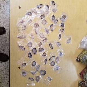 lot 2193 image: assorted polished Stone pendants - approximately 50 pieces