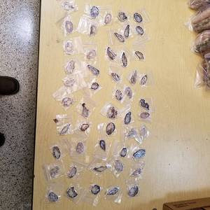 lot 2200 image: approximately 50 polished Stone pendants