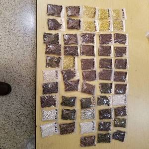 lot 2211 image: approximately 50 bags of jewelry beads - assorted shapes and sizes