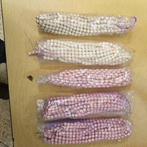 lot 2232 image: approximately 50 beaded strands