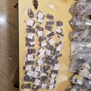 lot 2272 image: approximately 50 count 36in beaded strands