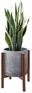 lot 23575 image: Mid Century Wood Plant Stand Holder for Planters Up to 10 Inch, Indoor Flower Pot Potted Planter Rack Caddy Trivet (Pot and Plant Excluded), Dark Wood Color