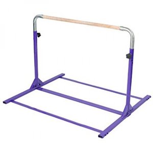 lot 3889 image: Tumbl Trak Junior Purple Kip Bar