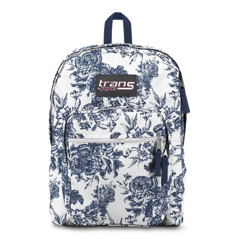 Jansport ocean backpack online