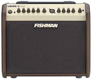 lot 2551 image: Fishman Loudbox Mini 60W Acoustic Instrument Amplifier