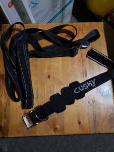lot 17433 image: Dog leash and collar