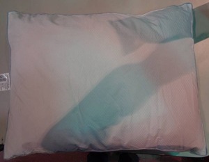 lot 3070 image: Standard Pillow