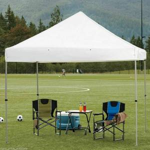 lot 3150 image: ProShade 10ft x 10ft Instant Canopy Gazebo