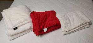 lot 4190 image: Lot of 3 - 100% Polyester Fuzzy Texture BlankletsThrows