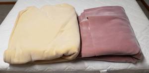 lot 4192 image: Lot of 2 Blankets -- 100% Nylon on Insulated Base - 1 Cream  1 Mauve