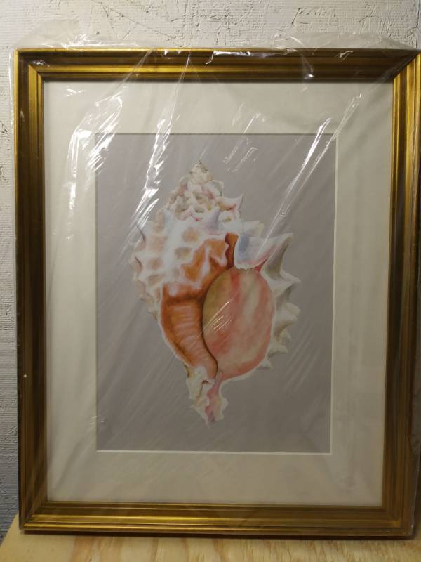 lot 6292 image: Ballard Designs Petite Seashell Pink Murex Framed Painting