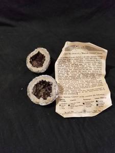 lot 7539 image: Mexican Coconut Geode w COA