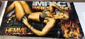 lot 1105 image: Large Banner Christy Hemme Impact Wrestling Signed & with Certificate of Authenticity