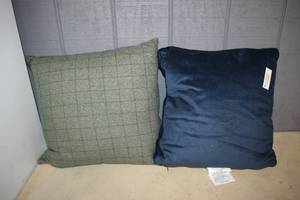 lot 123 image: 2 Throw Pillows