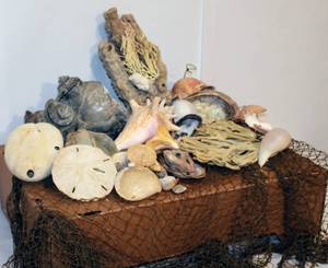 lot 2168 image: Large Lot of Conch Shells, Coral, Sand Dollars and more