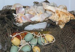 lot 2170 image: Large Lot of Conch Shells, Coral, Abalone, Starfish, Sand Dollars and more