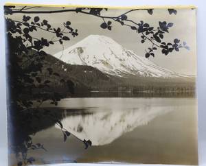 lot 2215 image: Vintage Photograph