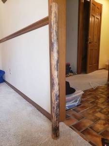 lot 5394 image: 40 Tall Rain Stick