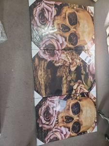 lot 13402 image: Skull Wall art.