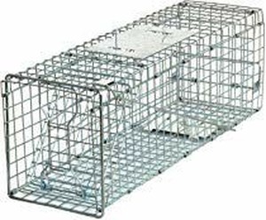 lot 13484 image: HomGarden Live Animal Trap Catch Release Humane Rodent Cage for Rabbit, Groundhog, Stray Cat, Squirrel, Raccoon, Mole, Gopher, Chicken, Opossum & Chipmunks Nuisance Rodents 32inch