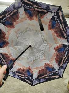 lot 13542 image: Sharpty Inverted Umbrella, Umbrella Windproof, Reverse Umbrella, Umbrellas for Women with UV Protection, Upside Down Umbrella with C-Shaped Handle