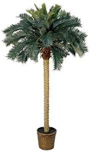 lot 23618 image: Nearly Natural 5107 6ft. Sago Palm Silk Tree