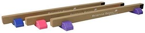 lot 23728 image: Tumbl Trak Brianna Balance Beam, Suede with Purple Base