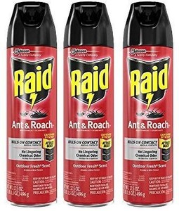 lot 25954 image: Raid Ant and Roach