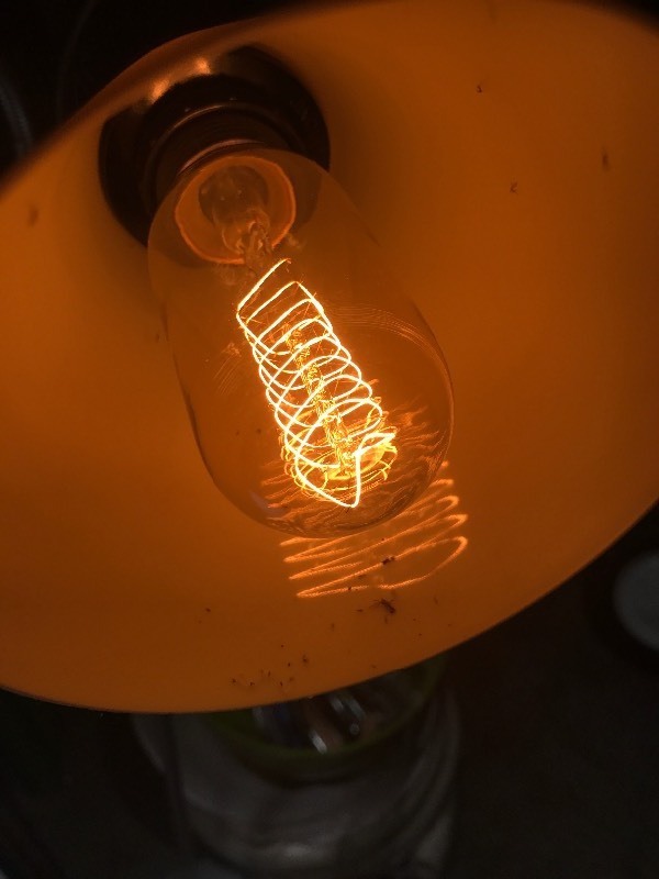 lot 803 image: Four pack of decorative Edison style light bulbs as pictured
