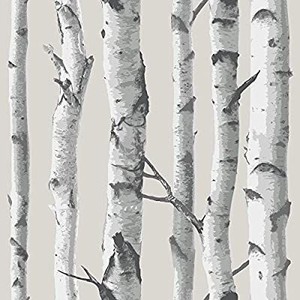 lot 24416 image: WALL ART BIRCH TREES - LOT