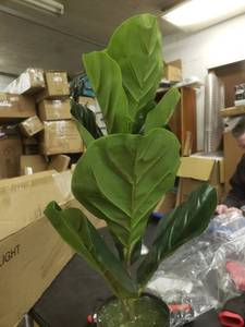 lot 13698 image: Home Decoration Artificial plant