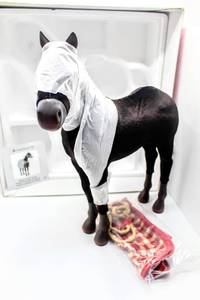 lot 2510 image: AMERICAN GIRL DOLL FELICITYS BLACK FOAL HORSE Patriot NIB, NRFB
