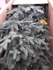 lot 8751 image: Martha Stewart 7.5�� blue spruce Christmas tree