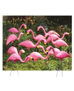 lot 8779 image: Bloem Flamingo, Pink, 12-Pack
