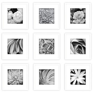 lot 834 image: Gallery Perfect Picture Frame White 9pk - Gallery Solutions