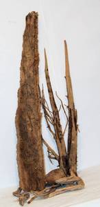 lot 2336 image: Driftwood and Dried Moss Wood