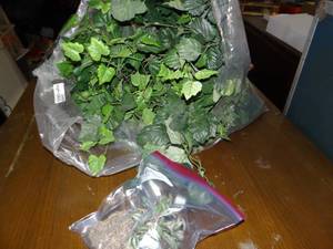 lot 3488 image: Bag of Artificial Leaves